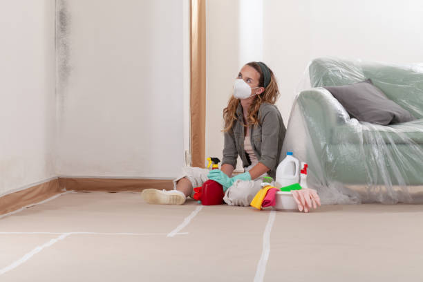 Reliable Black Mold Remediation contractor in Bremerton, WA by Car Mold Remediation